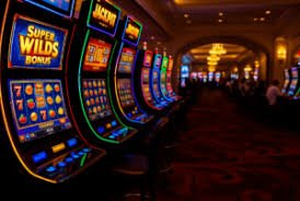 dbt7555